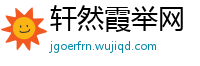 轩然霞举网